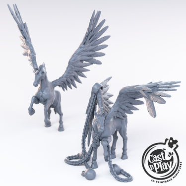 Pegasus Bundle